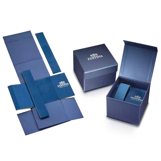 Montre Homme Festina Rétro F16822/3