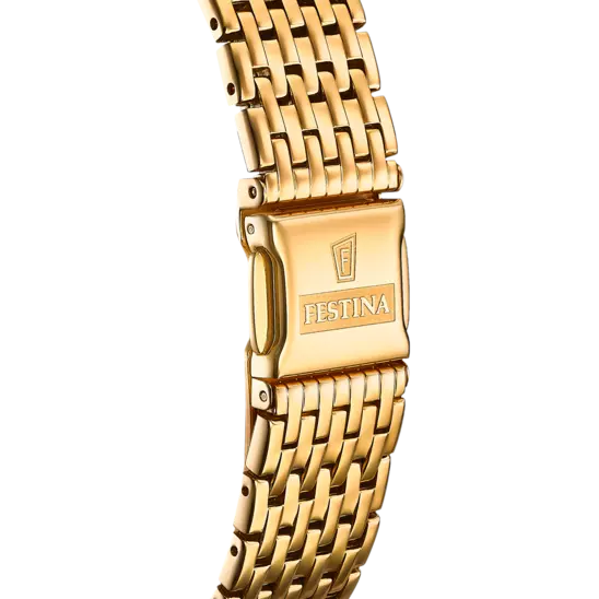 Montre Homme Festina Swiss Made F20020/3