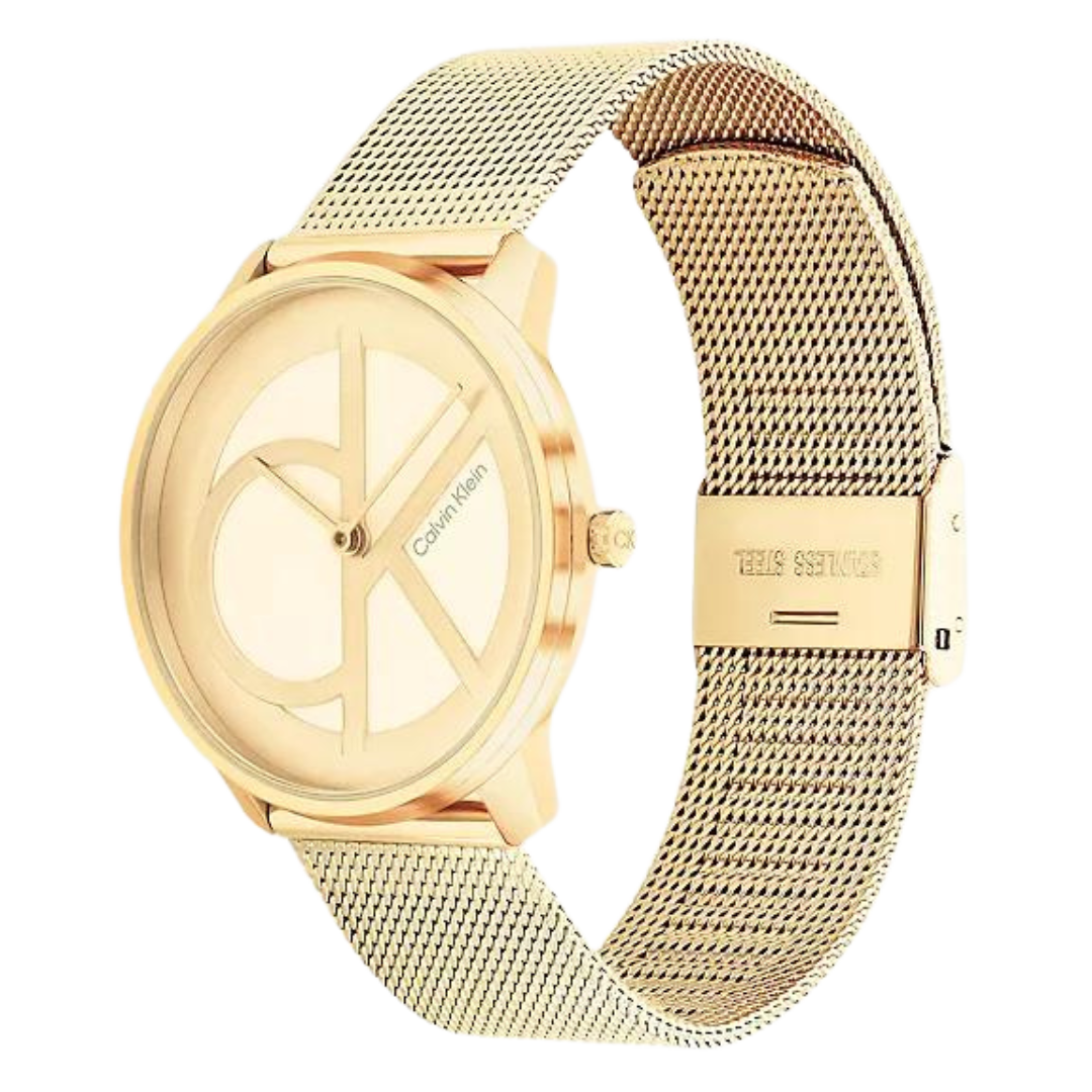 Montre Bracelet Maille CK