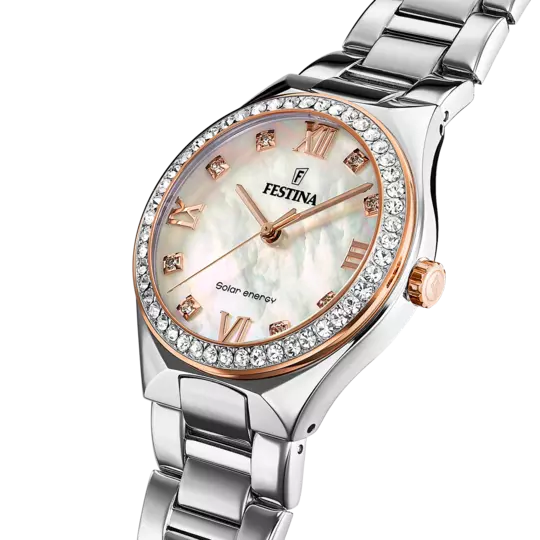 FESTINA F20658/1